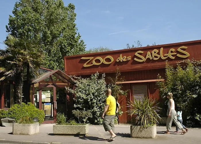 T2 Renove Avec Balcon, Parking Couvert, Animaux Admis - Fr-1-92-583 * Les Sables-dʼOlonne