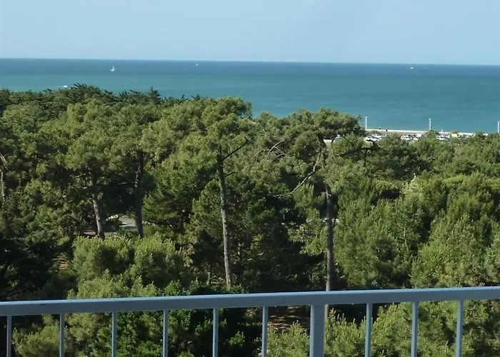 Apartmán T2 Renove Avec Balcon, Parking Couvert, Animaux Admis - Fr-1-92-583